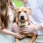 (c) Jill Doty Photography, LLC || www.jilldotyphotography.com