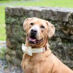 (c) Jill Doty Photography, LLC || www.jilldotyphotography.com