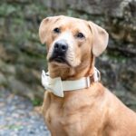 (c) Jill Doty Photography, LLC || www.jilldotyphotography.com