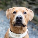 (c) Jill Doty Photography, LLC || www.jilldotyphotography.com